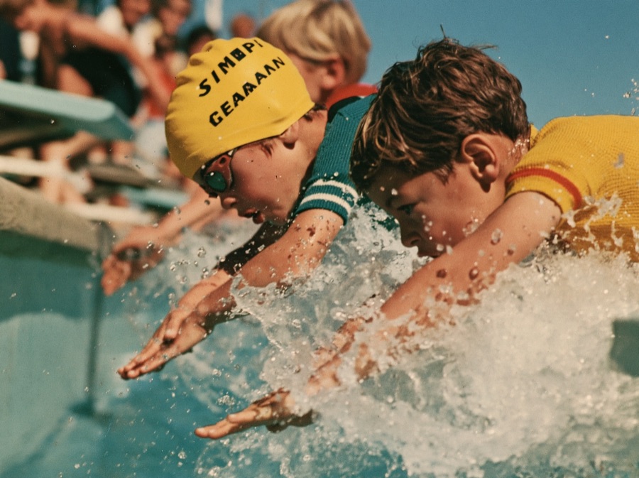 Young swimmers diving into the pool at the start of a race